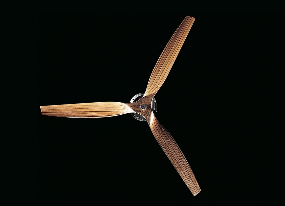 Ceiling fans