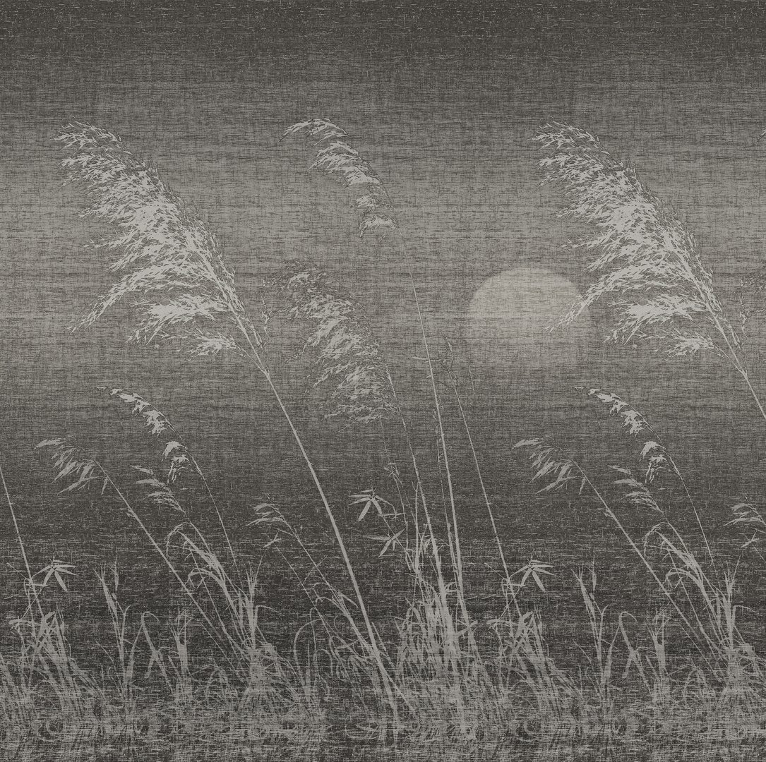 Wall&decò, Gli Alisei Wallpaper