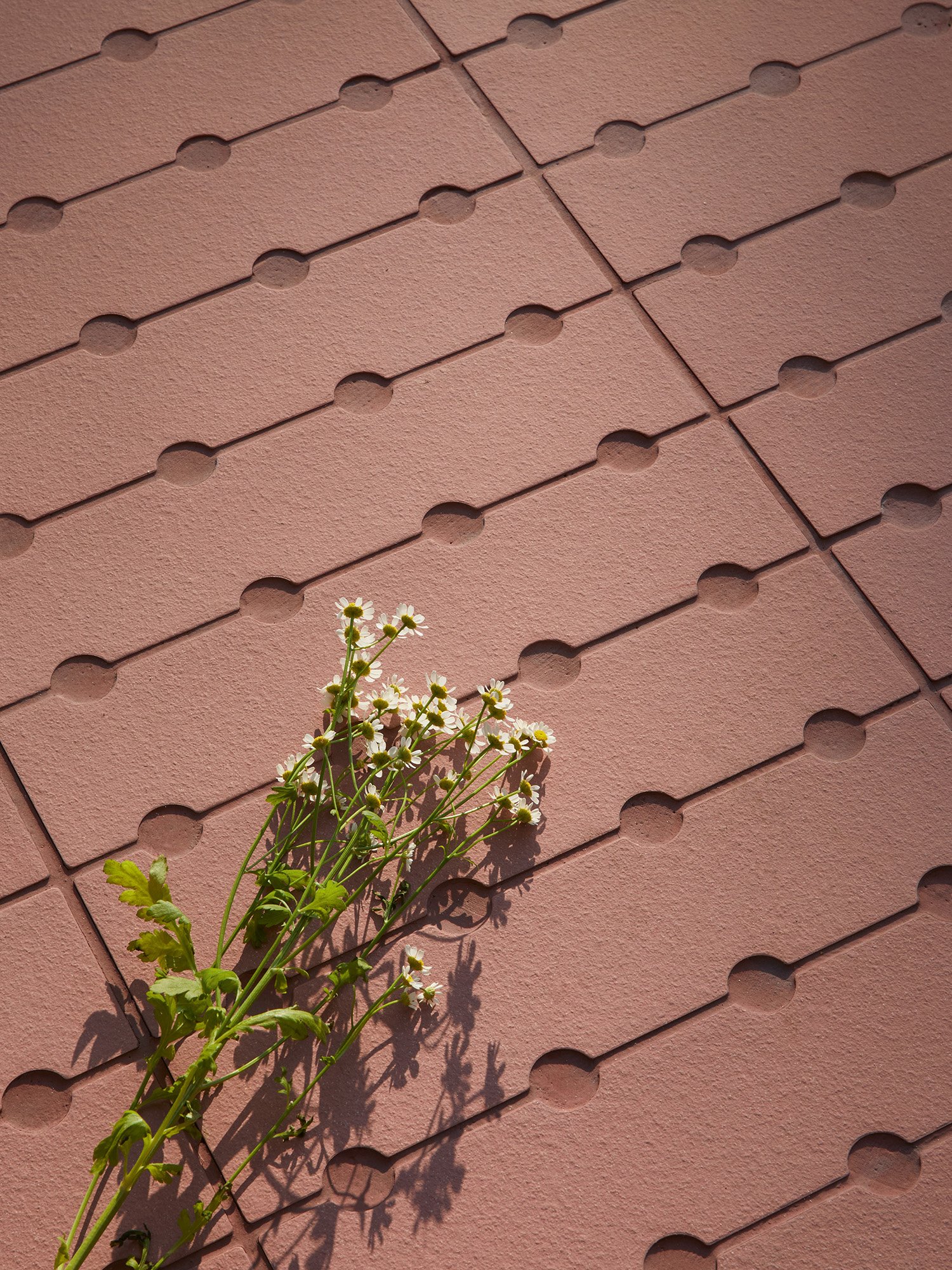 Mutina, Osso & Bottone 32.1x7.5 cm