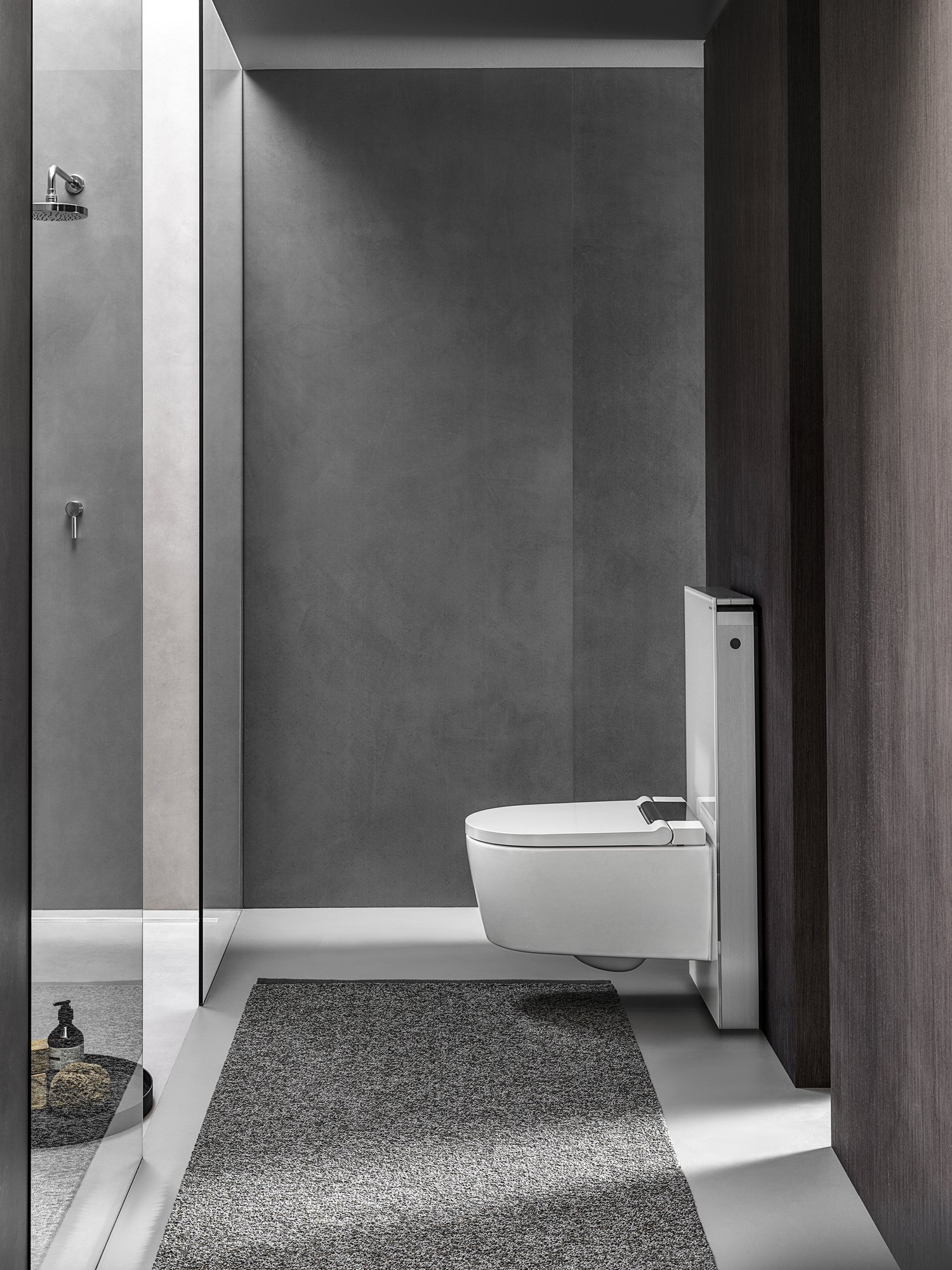 Geberit, AquaClean Sela Wall hung toilet