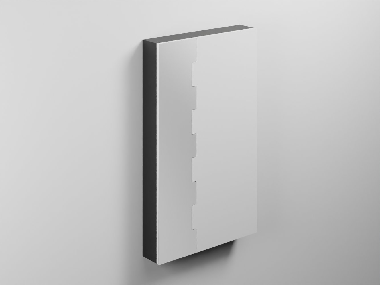 Cielo, Zip Storage mirror 110x66 cm