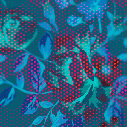 Wall&decò, Paintillise TS Wallpaper