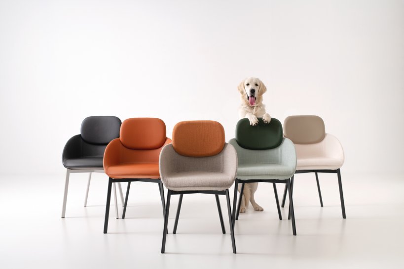 Pointhouse, Tata Armchair