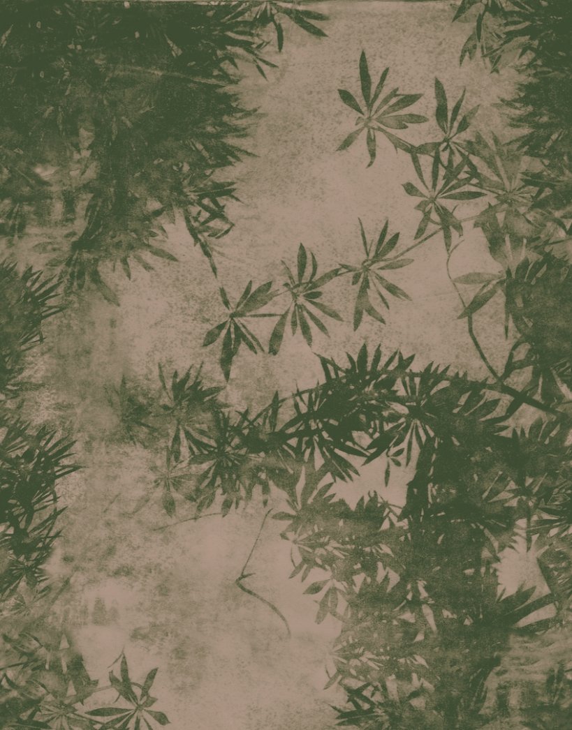 Wall&decò, Viride Wallpaper