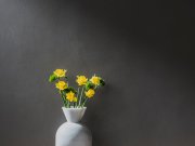 Kerakoll, Cementoresina Wall