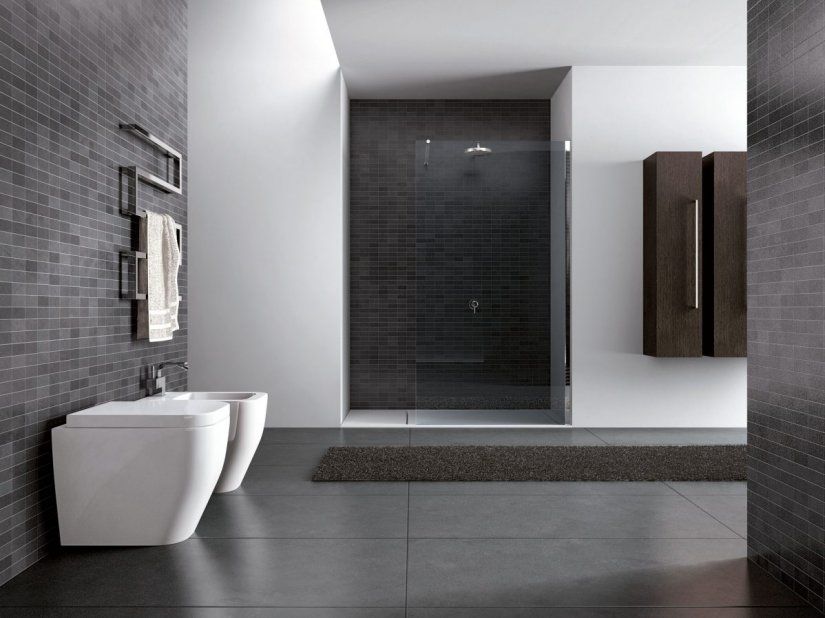 Disenia, Walk-In Parete doccia L 100 cm 