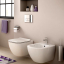 Ideal Standard, Tesi Sanitaryware