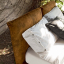 Ethos, Gaber Bed for mattress 90x200 cm