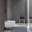 Geberit, AquaClean Sela Wall hung toilet