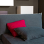 Flexteam, Lazy 015 Bed for mattress 90x200 cm