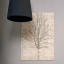 Devon&Devon, Notturno3 Lampshade 