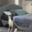 Flexteam, Wind Letto per materasso 180x200 cm